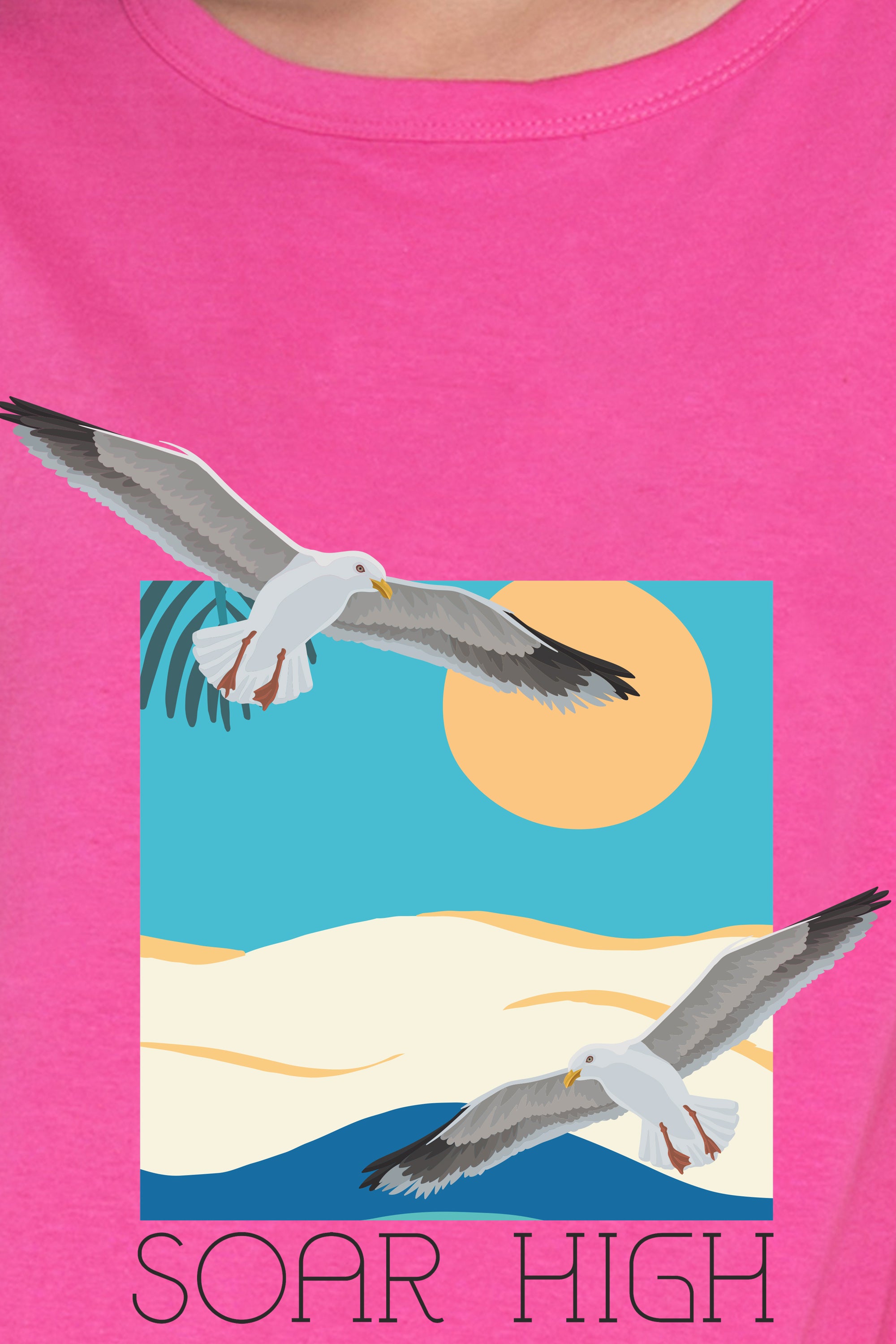 Soar High