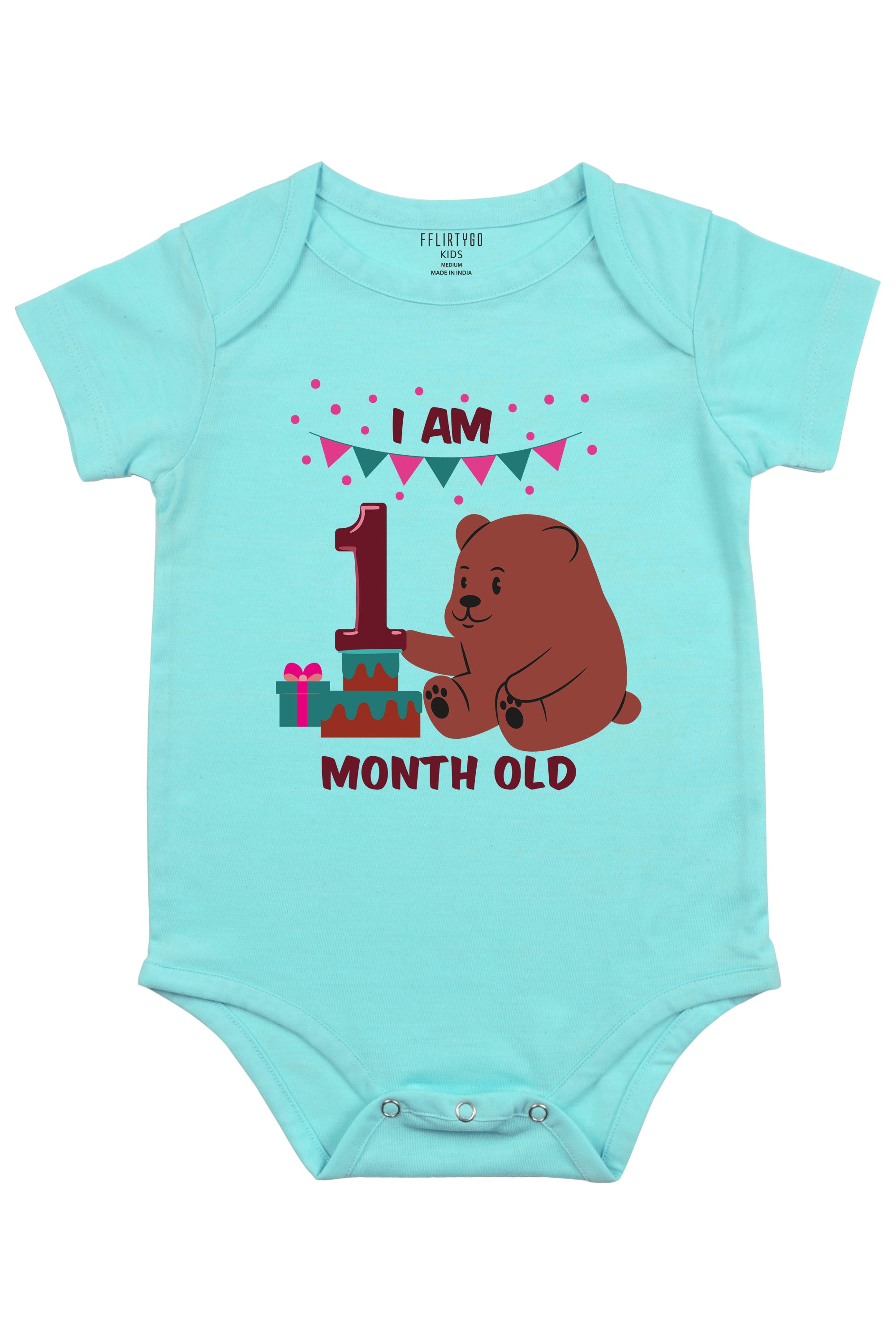 Newborn Monthly Baby Onesies Baby Monthly Milestone Onesies